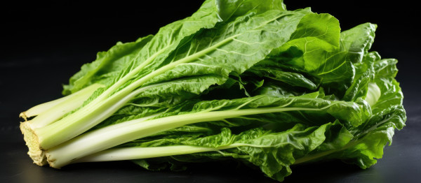 large-ready-to-be-cooked-fresh-chicory-greens-are-placed-on-a-white-table-there-is-copy-space-available-1