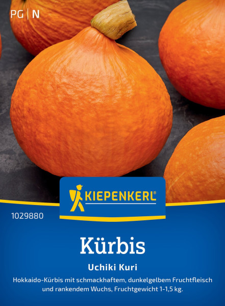 Kiepenkerl Kürbis Uchiki Kuri