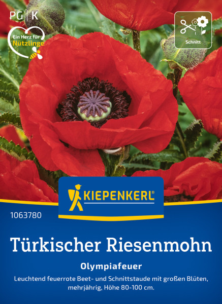 Kiepenkerl Türkischer Riesemohn Olympiafeuer