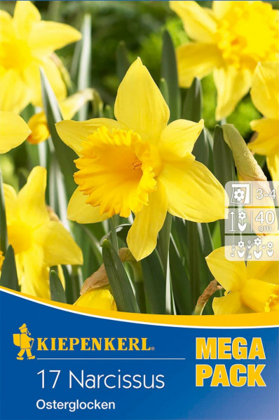 Produktbild von Kiepenkerl Mega-Pack mit 17 Osterglocken Narzissen und Pflanzanleitung mit Symbolen für Sonneneinstrahlung Pflanztiefe und Blumenhöhe.