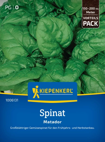 Kiepenkerl Spinat Matador Vorteilspackung
