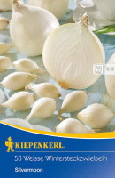 Kiepenkerl Weiße Steckzwiebel Silvermoon
