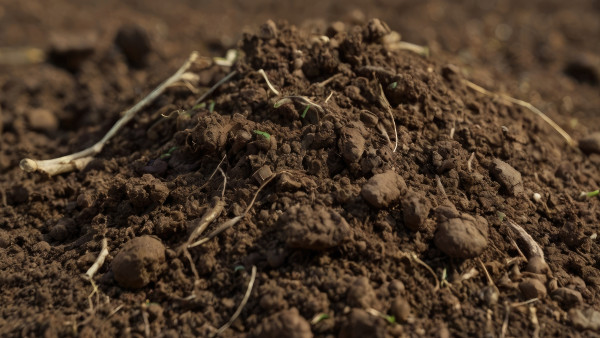 2400-organic-farming-earth-close-up