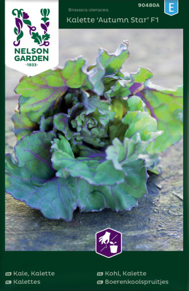 Produktbild von Nelson Garden Kohlröschen Kalette Autumn Star F1 mit Pflanzenabbildung und Produktinformationen in verschiedenen Sprachen