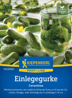 Kiepenkerl Einlegegurke Corentine F1