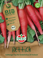 Sperli BIO Rettich
