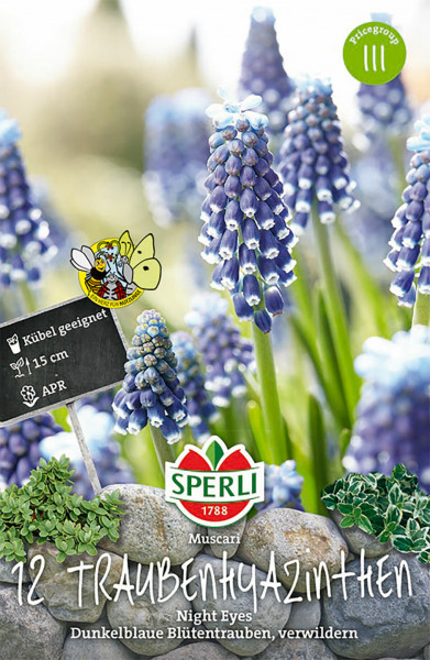 Produktbild von Sperli Armenische Traubenhyazinthe Night Eyes mit dunkelblauen Blütentrauben und Informationen zur Eignung für Kübel sowie der Pflanzzeit im April.