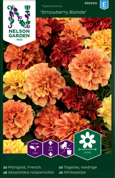 Produktbild von Nelson Garden Tagetes Strawberry Blonde mit Darstellung der Blüten und Verpackungsdesign inklusive Pflanzanleitung und Icons zur Pflanzenpflege
