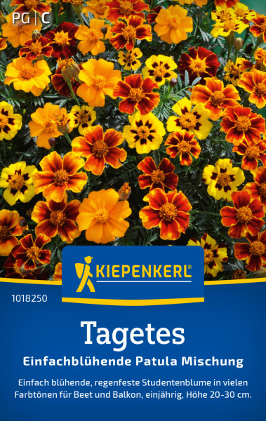 Kiepenkerl Tagetes Einfachblühende Patula Mischung