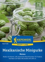Kiepenkerl Mexikanische Minigurke Mateo