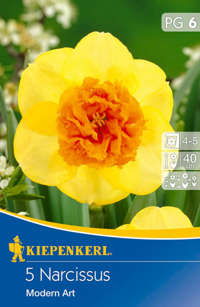 Produktbild von Kiepenkerl Narzisse Modern Art mit einer gelben Blüte und Verpackungsdesign das Pflanzinformationen enthält