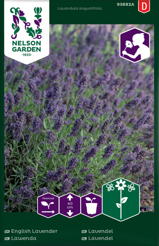 Nelson Garden Lavendel Duftende Zierpflanze & Küchenkraut