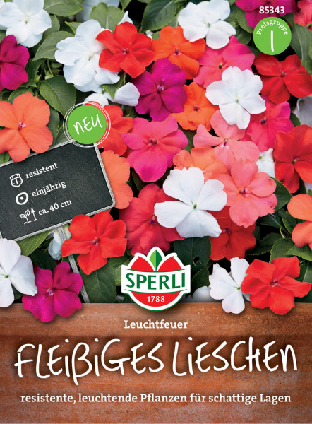 Produktbild von Sperli Fleißiges Lieschen Leuchtfeuer mit bunten Blüten und Verpackungshinweisen wie Neu, resistent, einjährig, ca. 40 cm Wuchshöhe und Preisgruppe.
