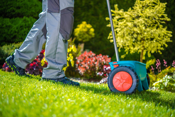 2400-grass-sowing-in-the-garden