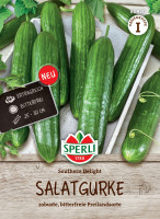 Sperli Salatgurke Southern Delight F1