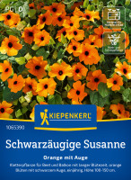Kiepenkerl Schwarzäugige Susanne Orange mit Auge