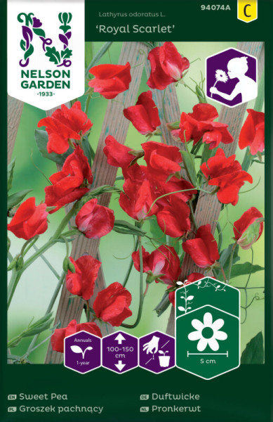 Produktbild von Nelson Garden Duftwicke Royal Scarlet mit roten Blüten an einem Holzgitter Piktogramme mit Wachstumsinformationen und Markenlogo