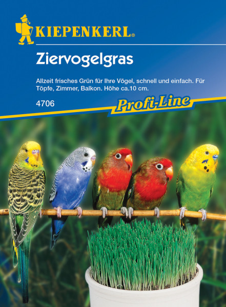 Produktbild von Kiepenkerl Ziervogelgras mit der Artikelnummer 4706 zeigt eine grün wachsende Pflanze in einem Topf und illustrierte Vögel auf einer Stange darüber mit Markenlogo und Produktbeschreibung.