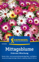 Kiepenkerl Mittagsblume Eiskraut Mischung