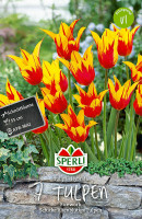Sperli Lilienblütige Tulpe Firework