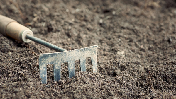 large-garden-tool-dirty-rake-in-the-background-soil-background-in-blur