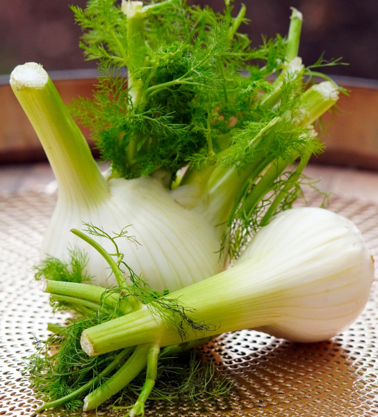 fennel-6947467_1920