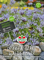 Sperli Orientalischer Waldmeister