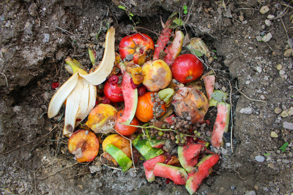 2400-domestic-waste-for-compost-from-fruits-and-vegetables-in-garden