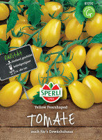 Produktbild von Sperli Cherry-Tomate Yellow Pearshaped mit gelben birnenfoermigen Tomaten auf Holzhintergrund und Informationen zu Anbau im Freiland oder...