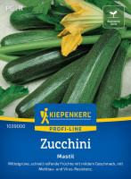 Kiepenkerl Zucchini Mastil F1