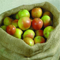 Noor Jutesäcke natur 2 Stück 100 kg Größe 65x135 cm