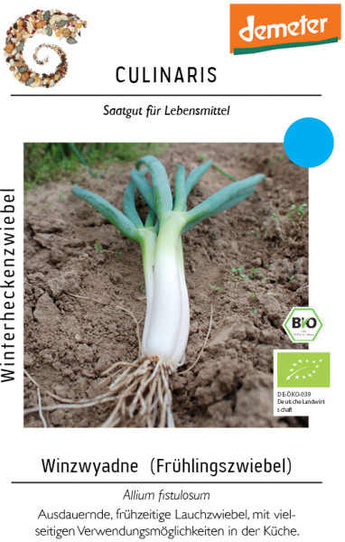 Produktbild von Culinaris BIO Winterheckenzwiebel Winzwyadne mit einer gezeigten Pflanze im Boden und Produktinformationen auf Deutsch.