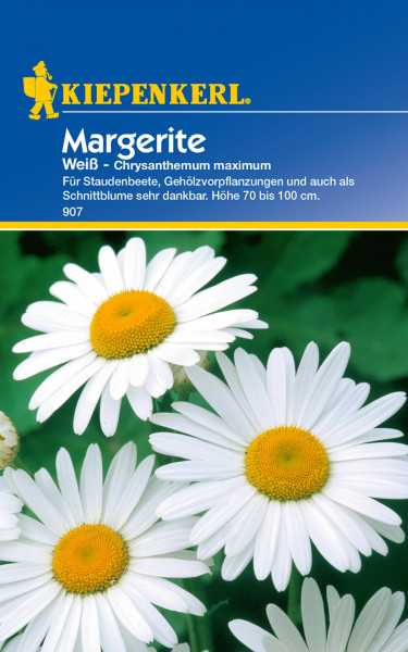 Produktbild von Kiepenkerl Margerite Weiß auf der blau-gelben Verpackung mit Nahaufnahme der weißen Blüten und Produktinformationen in deutscher Sprache.