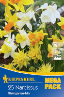 Kiepenkerl Mega-Pack Steingarten Narzisse Mischung