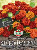 Sperli Studentenblume SPERLI's Feuerball