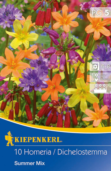 Produktbild von Kiepenkerl Summer Mix Dichelostemma Homeria Mischung zeigt bunte Blumen in rot orange gelb und lila mit Verpackungsdesign und Pflegehinweisen.