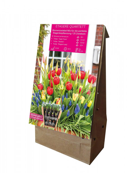 Produktbild von Sperli Young Generation Etagere Quartett mit verschiedenen Blumenzwiebeln und deren Anzahl sowie Wachstumshinweisen auf einer Verpackung.
