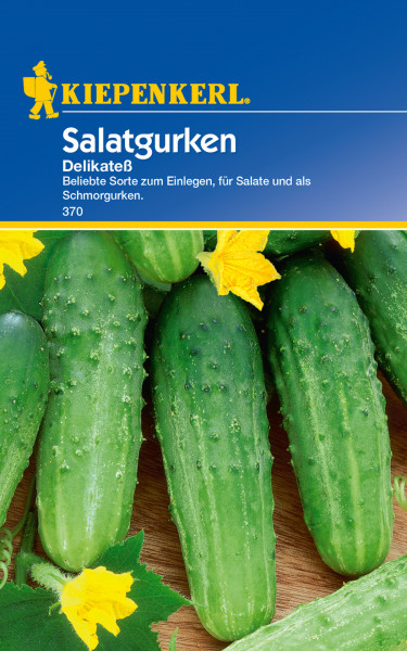 Produktbild von Kiepenkerl Salatgurken Delikateß Packung mit Abbildung der Gurken und Blüten sowie Produktbeschreibung.