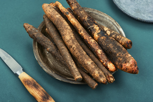 2400-raw-salsify-in-herbal-medicine-salsify-roots