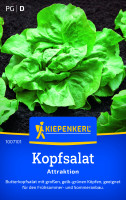 Kiepenkerl Kopfsalat Attraktion Butterkopf Kleine Tüte