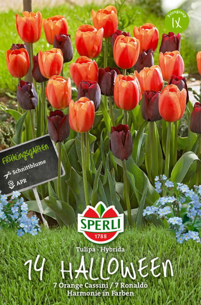 Produktbild von Sperli Frühlingsgarten Halloween mit einer Darstellung von orangefarbenen und dunkelroten Tulpen sowie Informationen zum Produkt auf Deutsch