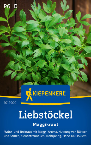 Kiepenkerl Liebstöckel Maggikraut