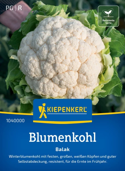 kenwood aufbewahrung Chef Nudelpresse Pasta Fresca Aufsteller Verstaue – Decor-Krueger Arbeitskleidung – einfach gut Reißfeste Gartentasche Zubehör:mit Reinigungsbürsten
