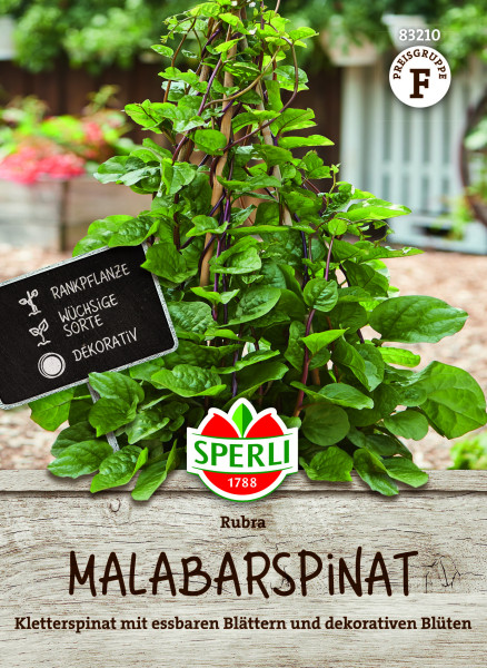 SPERLI Malabarspinat Rubra