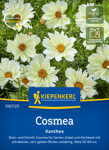 Kiepenkerl Cosmos Xanthos