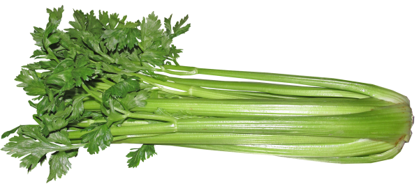 celery-3410302_1920