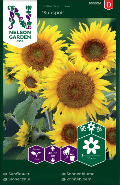 Produktbild von Nelson Garden Sonnenblume Sunspot Saatgutverpackung mit gelben Sonnenblumen und Icons für Pflanzinformationen.