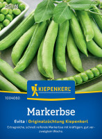 Kiepenkerl Markerbse Evita
