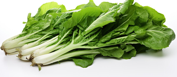 large-ready-to-be-cooked-fresh-chicory-greens-are-placed-on-a-white-table-there-is-copy-space-available