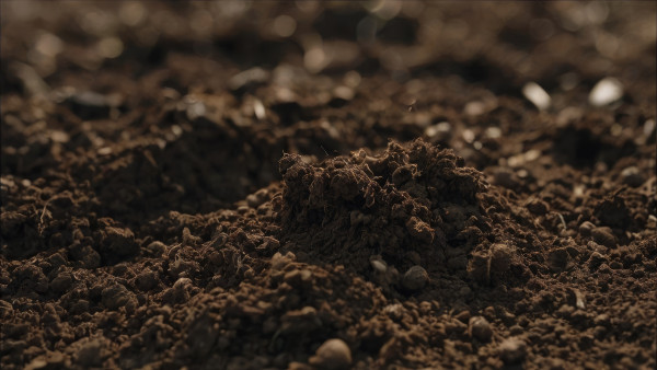 2400-detailed-soil-texture-background